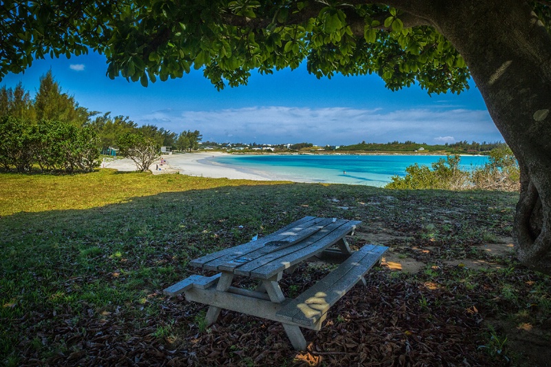 Picnic Time, Bermuda