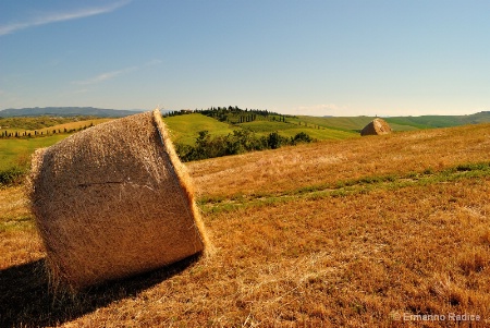 After the harvest