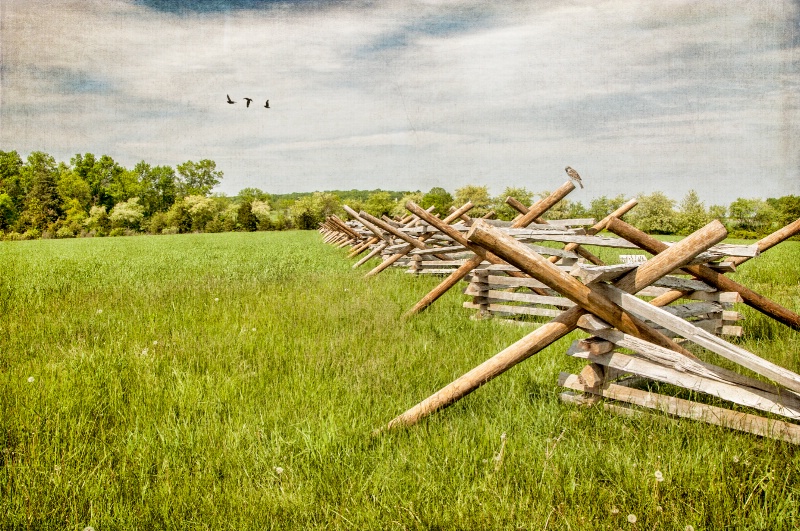 There Was A Crooked Fence