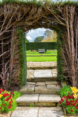 Through the Hedge