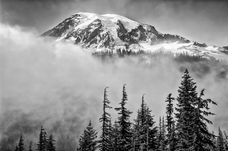 Mount Rainier and Fog; Black and White
