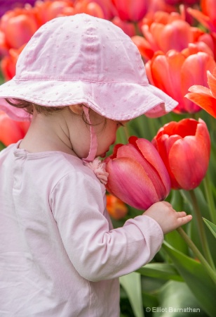 Stopping to smell the flowers