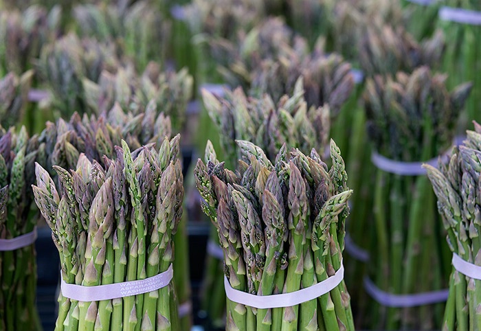 Fresh Asparagus