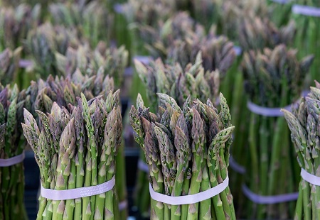 Fresh Asparagus