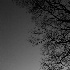 2Half Moon & Half Trees - ID: 14522720 © Ilir Dugolli