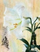 Easter Lily