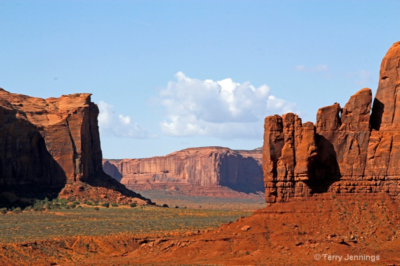 Desert Beauty at Monument Valley - ID: 14525459 © Terry Jennings