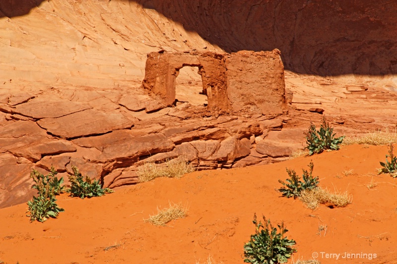 Navajo Ruins - ID: 14525461 © Terry Jennings