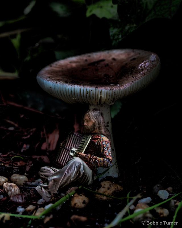playing under a mushroom