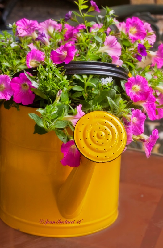 Yellow Watering Can