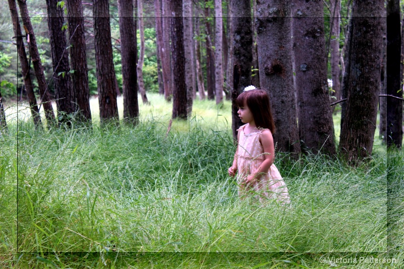 little girl big woods