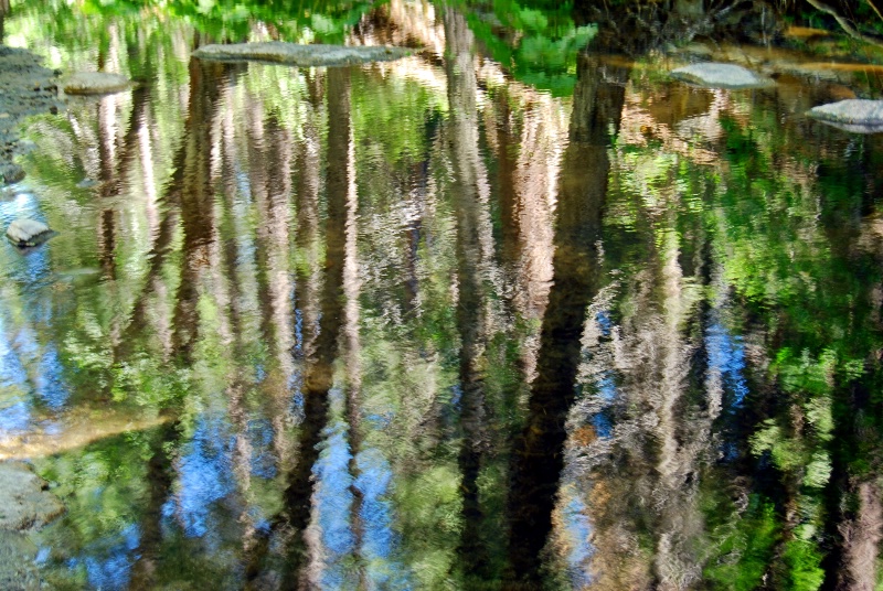 Yosemite Reflection