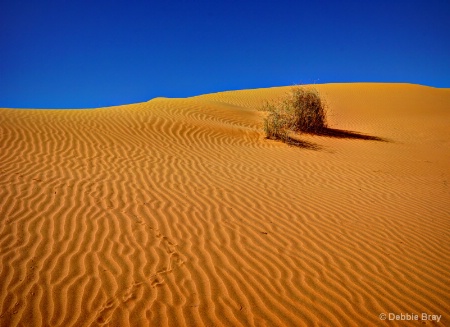 Simpson Desert, Australia