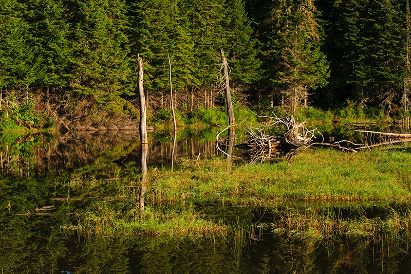 Sundown on the pond.