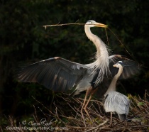 June 2014 Photo Contest 2nd Place Prize Winner