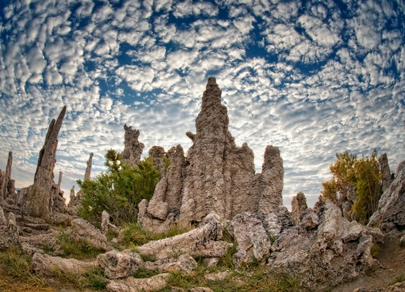 Tall Tufas