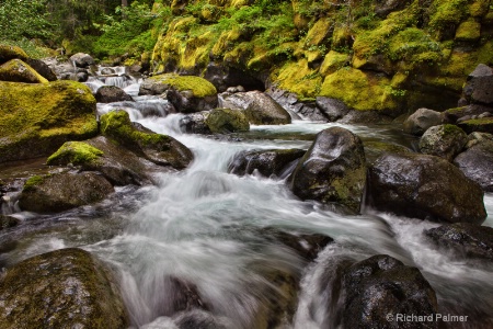 Nickel Creek at Mount Rainier National Park
