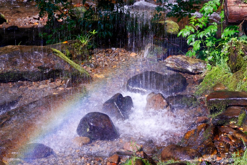 Rainbow In The Falls - ID: 14541360 © Terry Jennings