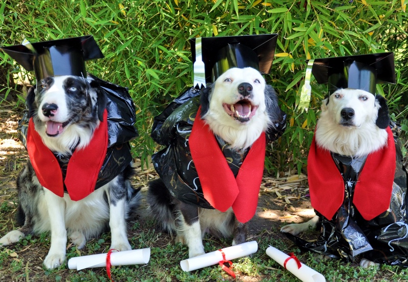 My 3 Graduates!