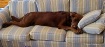 The Perfect Vacat...