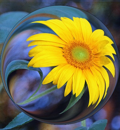 Sunflower Sphere