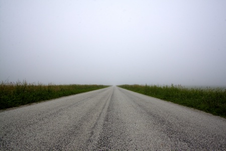 Foggy Road