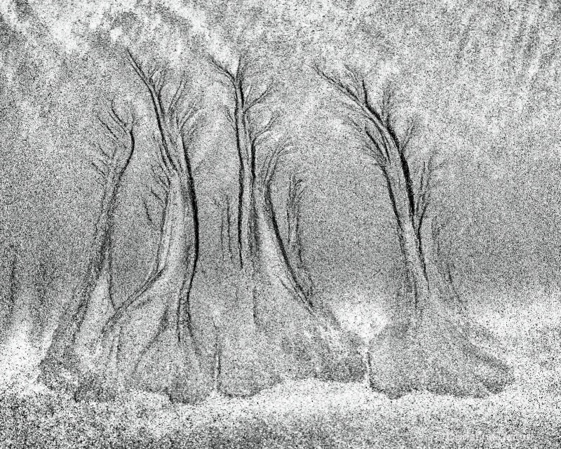 Trees in the Sand