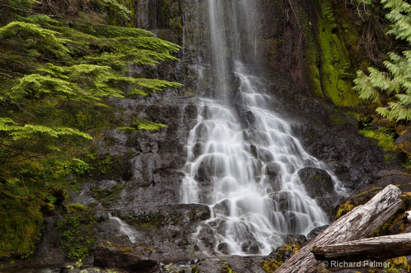 Falls Creek At Mount Rainier