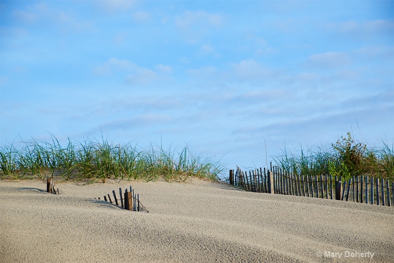 sand fences