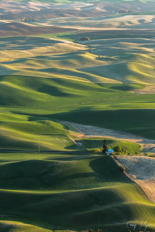 Spring Landscape, the Palouse