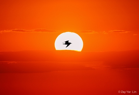Flying Alone
