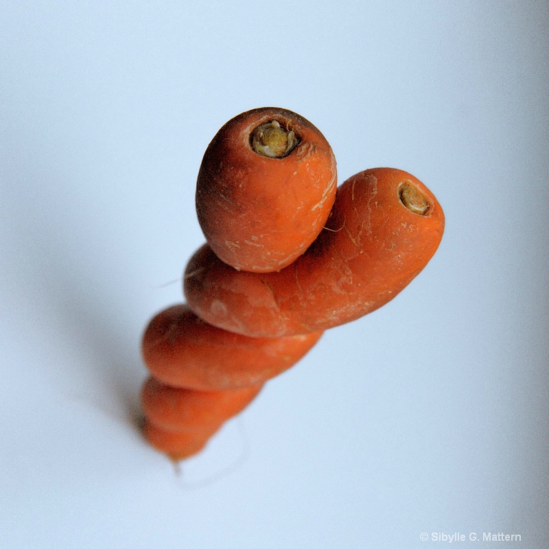 food series : carrot hug  - ID: 14550467 © Sibylle G. Mattern