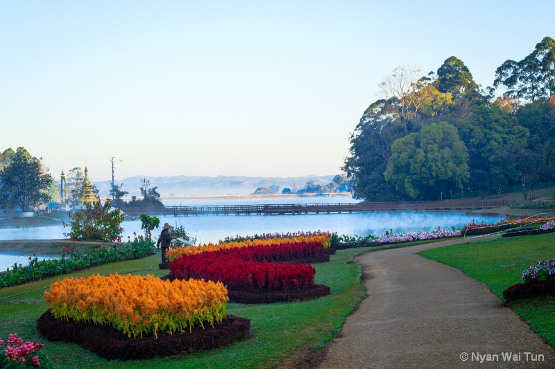 The Colourful Garden