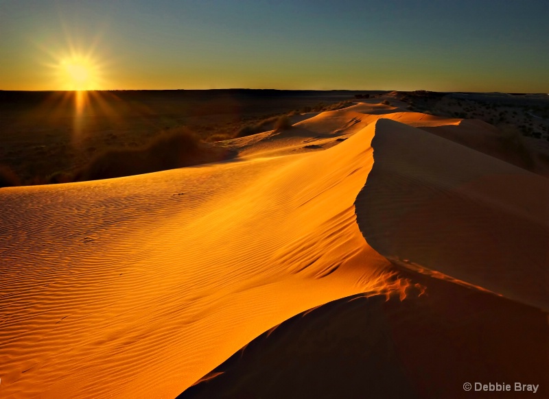  Desert Sands      