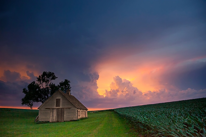 Summer on the Plains