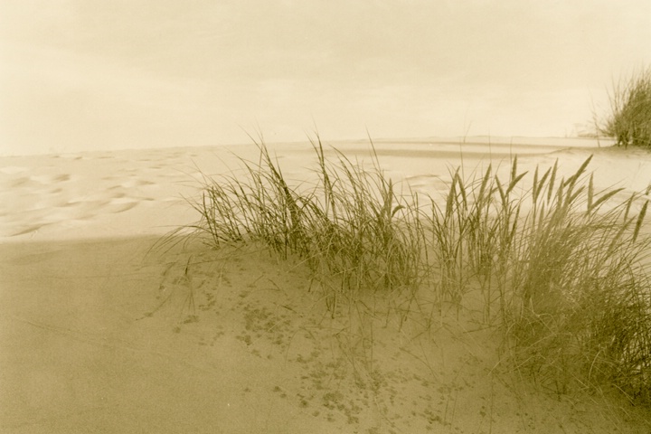 Dune Study #8 - ID: 14556864 © Joan E. Bowers
