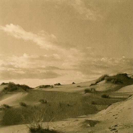 Eel River Dune #2 - ID: 14556962 © Joan E. Bowers