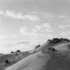 © Joan E. Bowers PhotoID# 14556963: Eel River Dune #3