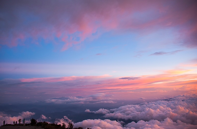 Multicolour - Mt Kinabalu - ID: 14557471 © Mike Keppell