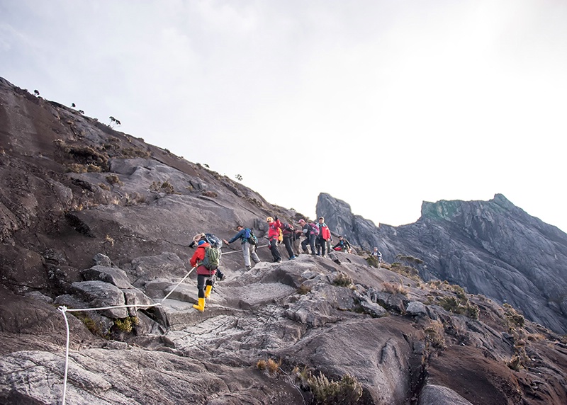 Guide Ropes - Mt Kinabalu - ID: 14557482 © Mike Keppell