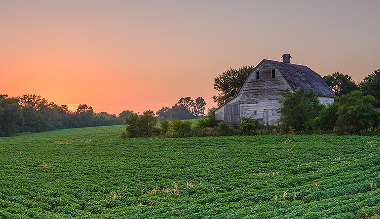 Summer Sunset