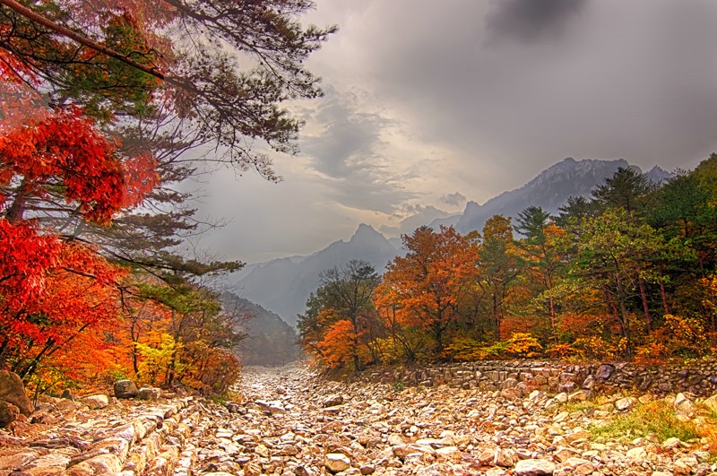 Morning in Seoraksan National Park