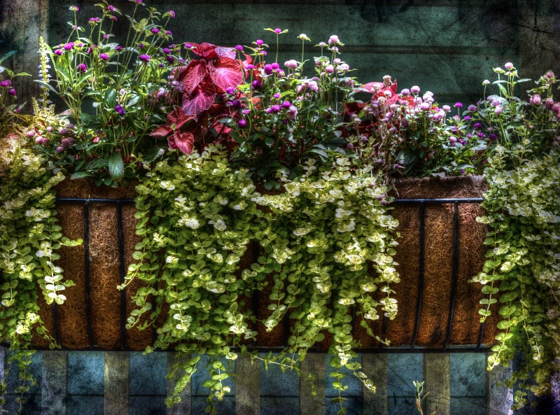 Basket Of Flowers