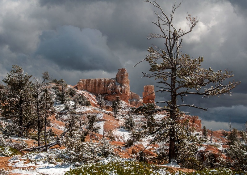 Into the Ancient Terrain - ID: 14558567 © John D. Roach