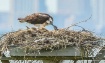Morning Feeding!