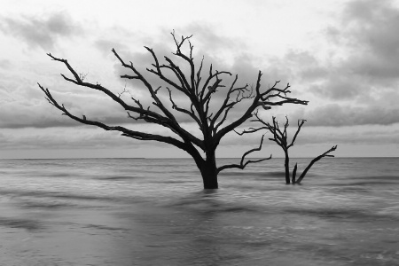 Botany Bay in Black & White