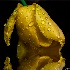 © Gloria Matyszyk PhotoID # 14559016: Yellow tulip in the rain. GA