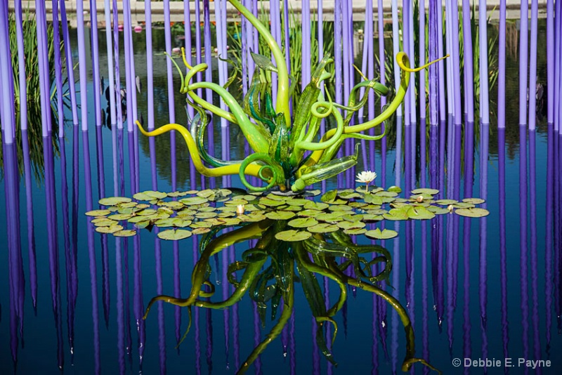 CHIHULY REFLECTIONS AT THE GARDENS