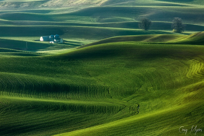 Wheat Contours - ID: 14559608 © Craig W. Myers