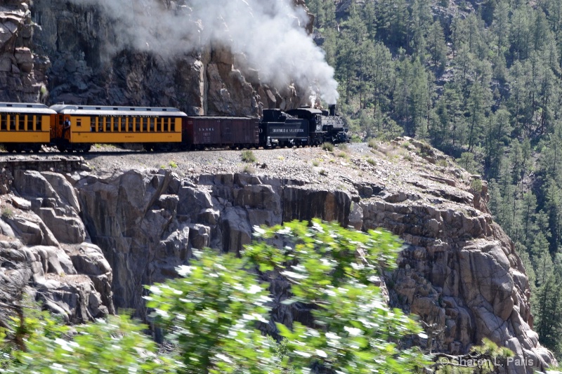 Durango Silverton Railroad #1